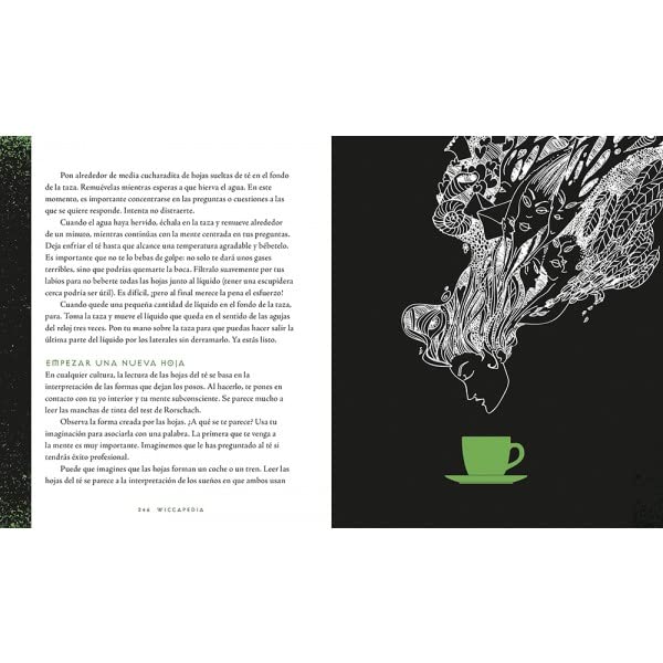 WICCAPEDIA: UNA GUIA PARA BRUJAS MODERNAS (ESOTERISMO)